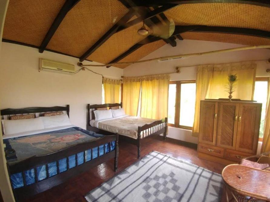 Castle Hotel 博卡拉 外观 照片